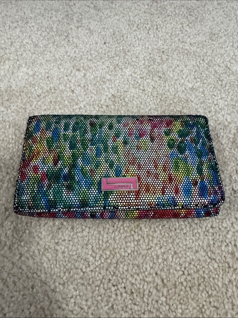 Multicolor Wallet Clutch